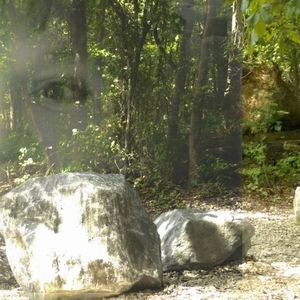 Meet your Posher, Robin